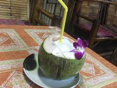 -Jungle Kitchen
