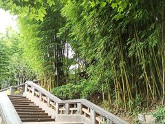 -昆明动物园
