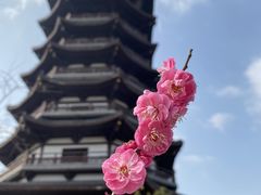 -洋湖国家湿地公园