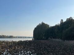 -东湖落雁景区