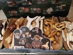 -芸山季·云南山珍菌火锅(宝能环球汇店)