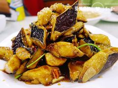 -陶然饺子城(奥体中路店)