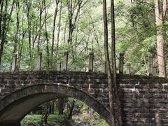 -牛背梁国家森林公园