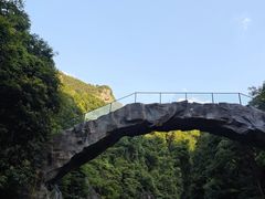-石台牯牛降景区