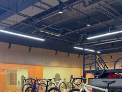 -xds喜德盛自行车(滴水湖店)