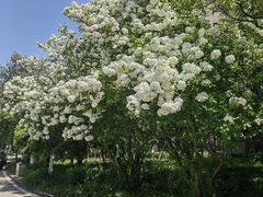 -杭州电子科技大学(下沙校区)