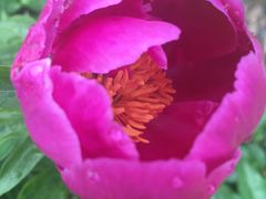 -长春公园(普阳街道)