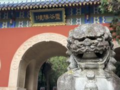 -灵谷景区