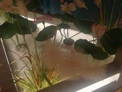 -荷塘秋月·本帮江浙菜(国权路店)