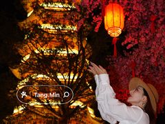 -厦门方特东方神画