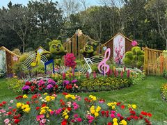 -上海共青森林公园