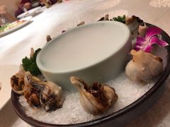 白蜜大红螺-富黎华海鲜大酒楼(正大广场店)