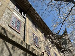 -武汉大学-樱园