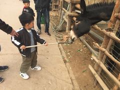 -呀路古热带植物园