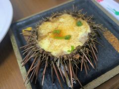 -海胆小馆(东北水饺·春柳店)