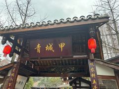 -青城甲(青城山店)