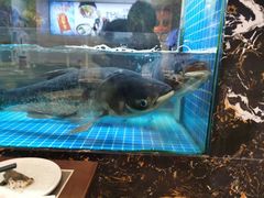 -浔味·山屿湖·正宗淳牌全鱼宴老字号