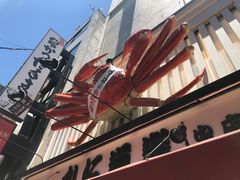 -蟹道乐(道顿堀本店)