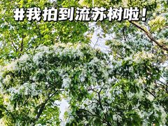 -陶然亭公园