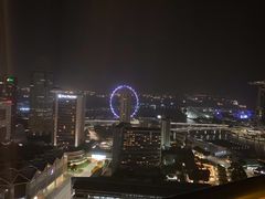 -新加坡瑞士史丹福酒店