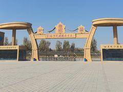 -金塔沙漠胡杨林景区