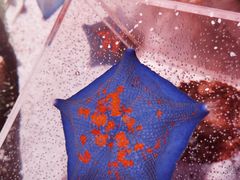 -沈阳海洋探索中心