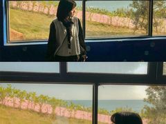 -广东惠东海龟国家级自然保护区
