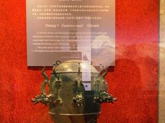 -中国地质博物馆