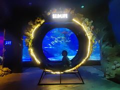 -沈阳海洋探索中心