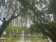 -檀园