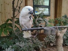 -南宫五洲植物乐园