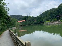 -广州市帽峰山景区