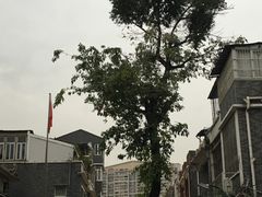 -华林禅寺