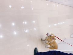 -佳雯宠物医院(信河分店)