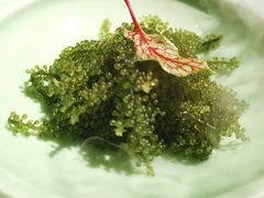 海葡萄-荟廷·晶萃(陆家嘴尚悦湾店)