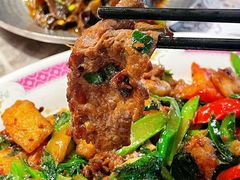 -禄婶鸡煲·打边炉