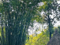 -成都杜甫草堂博物馆