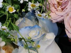 -爱尚幸福鲜花(上地实体店)