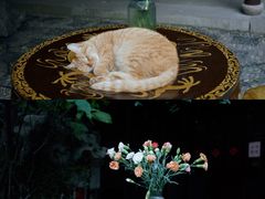 -西园寺