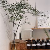  南宁探店｜来这里治愈所有的烦恼🍂