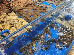 -鲜得莱渔港·小平岛海胆馆(七贤岭店)