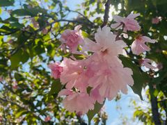 -北京国际鲜花港