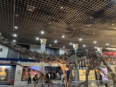 -国家自然博物馆