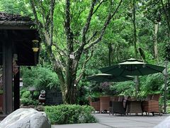 -青城道汤池