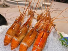 -南麓·浙里(外滩店)