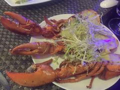 帝王蟹，带子-339旋转餐厅(天府熊猫塔店)