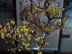 -无锡梅园公园