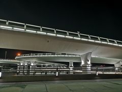 -演武大桥观景平台