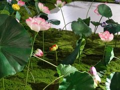 -福田美术馆——新童话主义－周艺文艺术季