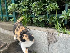 -慧娟面馆·餐厅(望江路店)